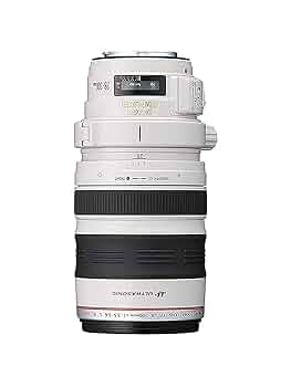 619cA+KgAfL._UF350,350_QL50_.jpg